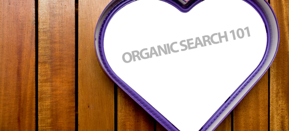 Organic Search 101